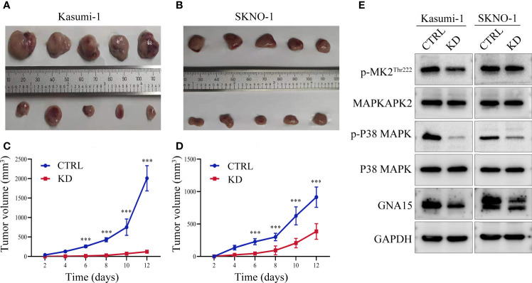 Figure 6