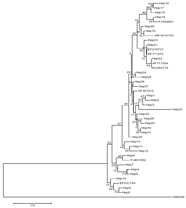 Fig.2