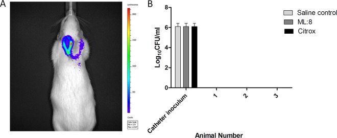 FIG 3