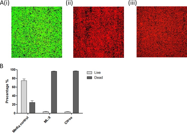 FIG 2