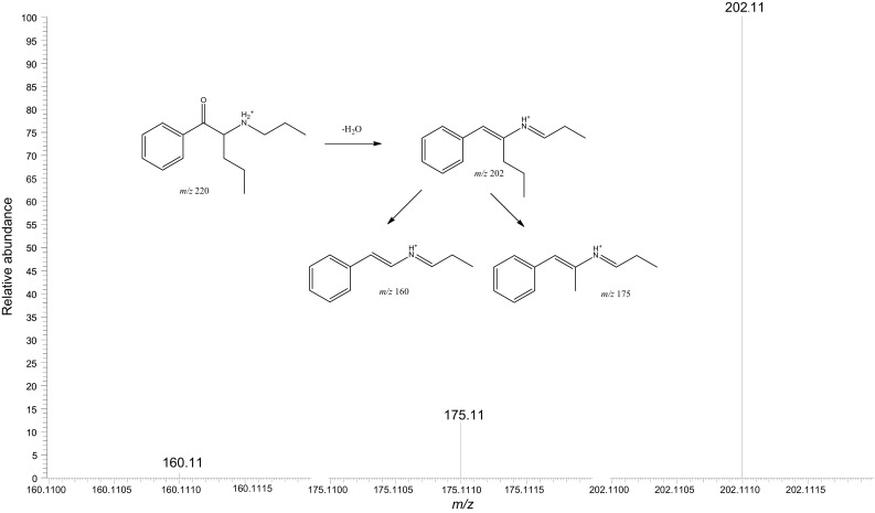 Fig. 3