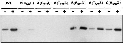 FIG. 5