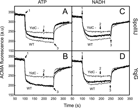 FIG. 3.