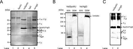 FIG. 7.