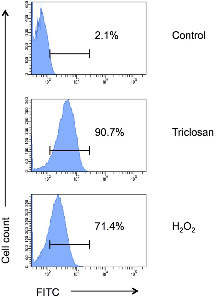 FIGURE 4