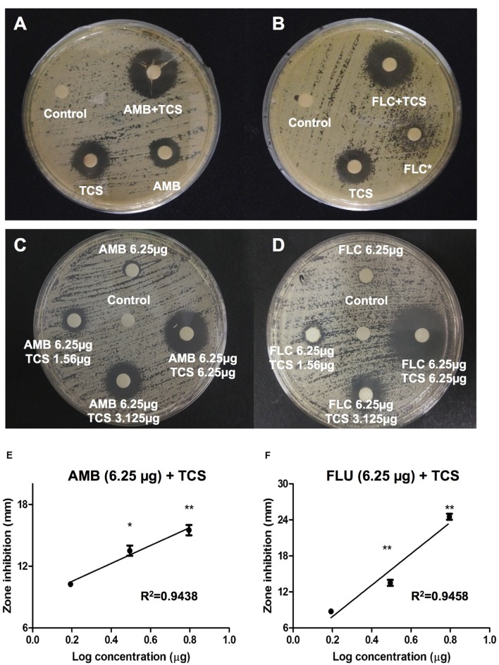 FIGURE 2