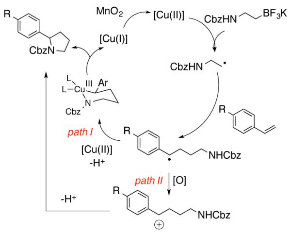 Scheme 4