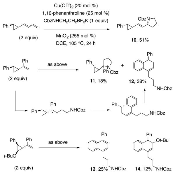 Scheme 5