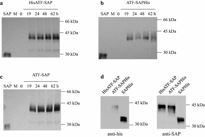 Fig. 2