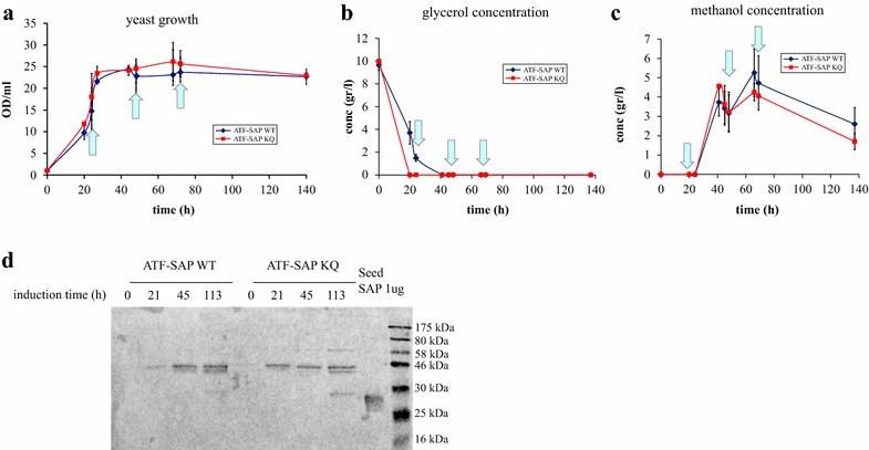 Fig. 4