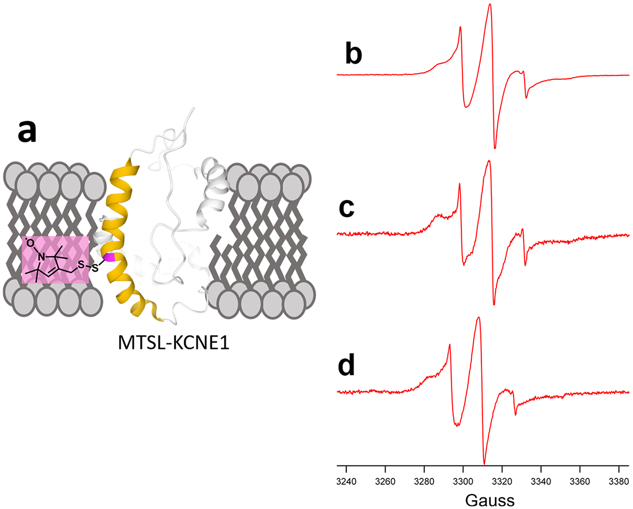 Figure 7.