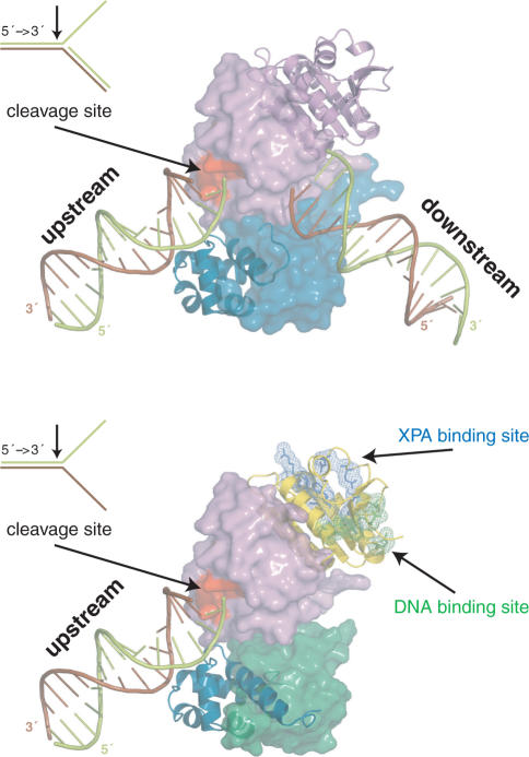 Figure 6.