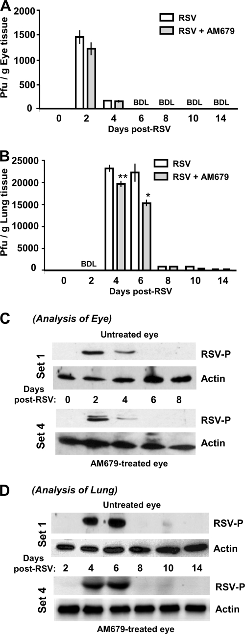 FIG. 5.