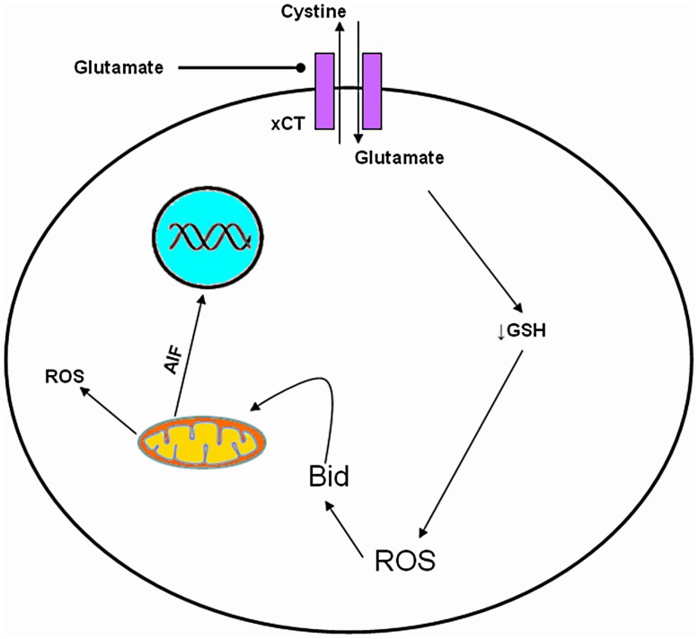 FIGURE 4