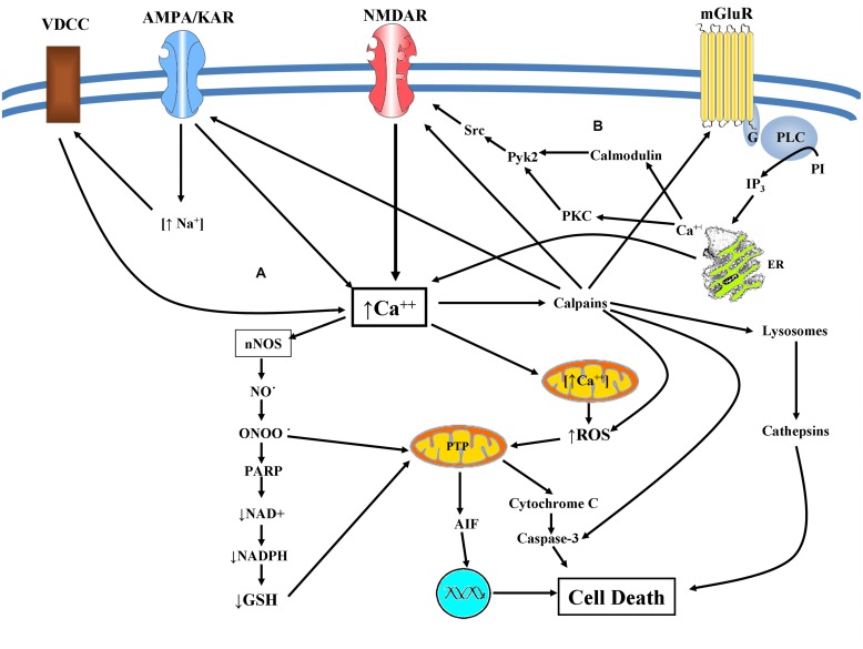 FIGURE 3