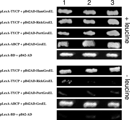 FIG. 3.