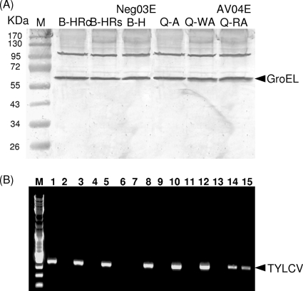 FIG. 5.