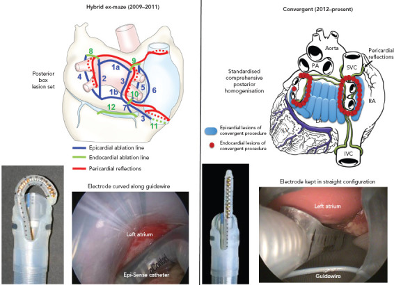 Figure 2: