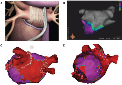 Figure 1: