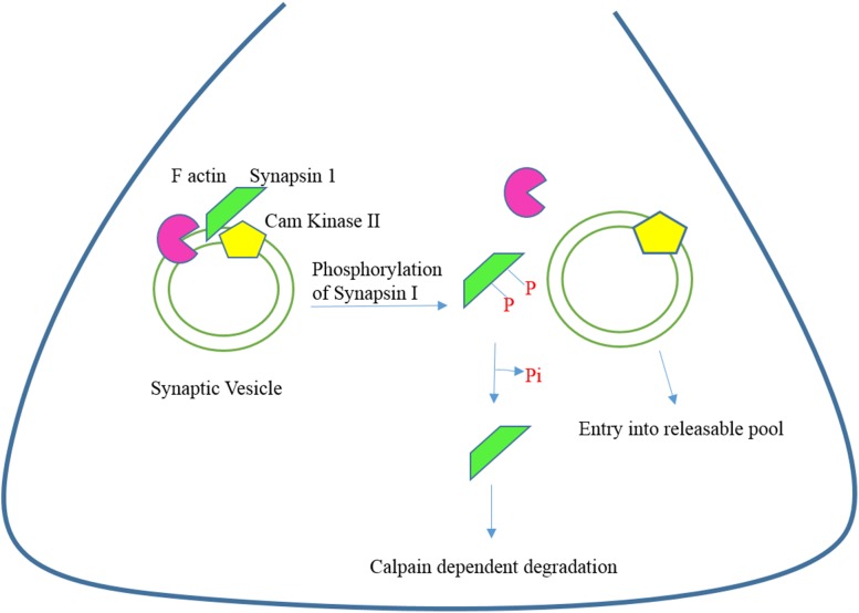 Fig. 2