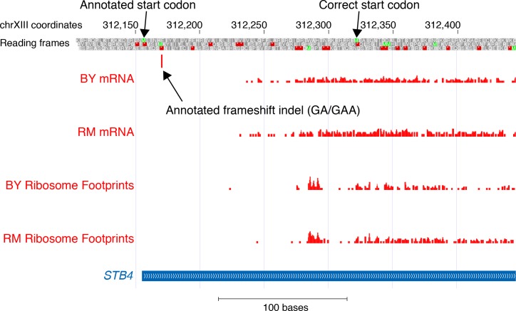 Figure 4—figure supplement 3.