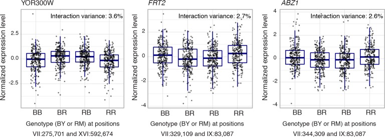 Figure 7—figure supplement 3.