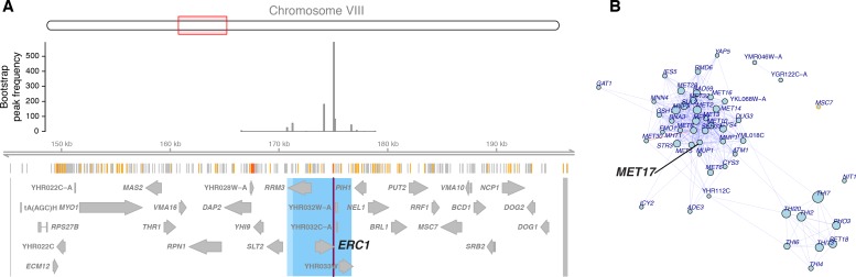 Figure 4—figure supplement 4.