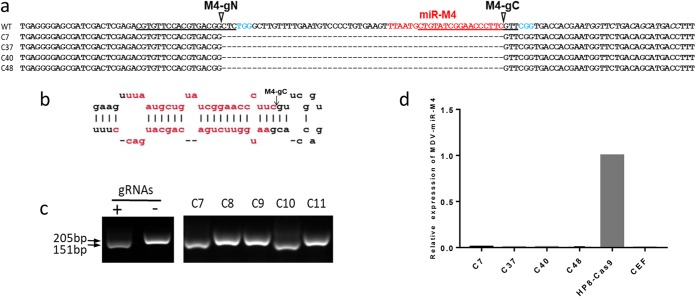 FIG 1