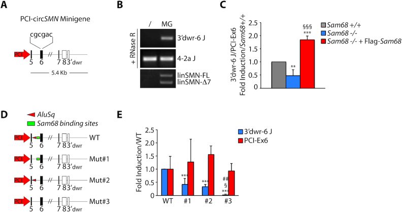 Figure 6.