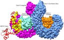 Fig 8