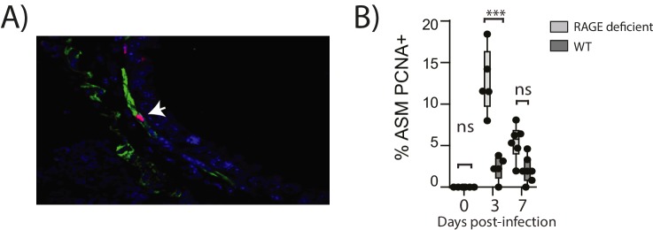 Figure 10.