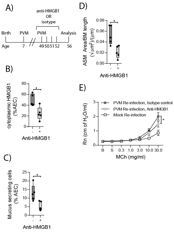 Figure 12.