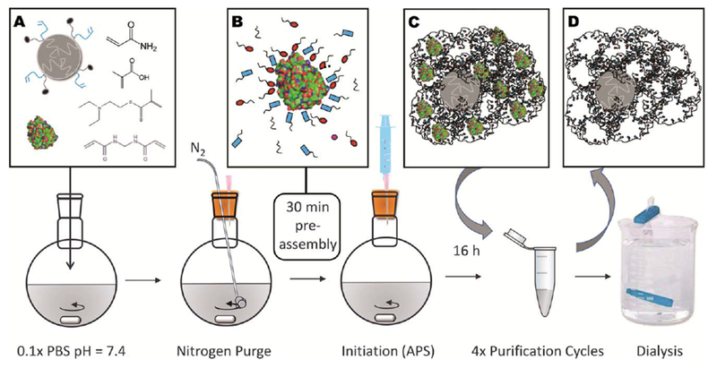 FIGURE 1.