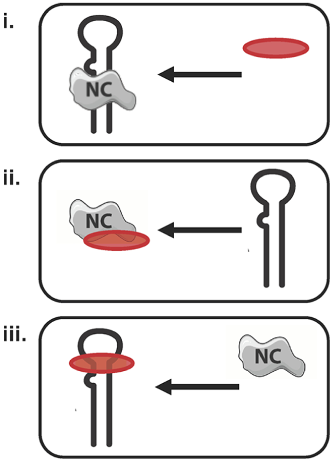 Scheme 3.