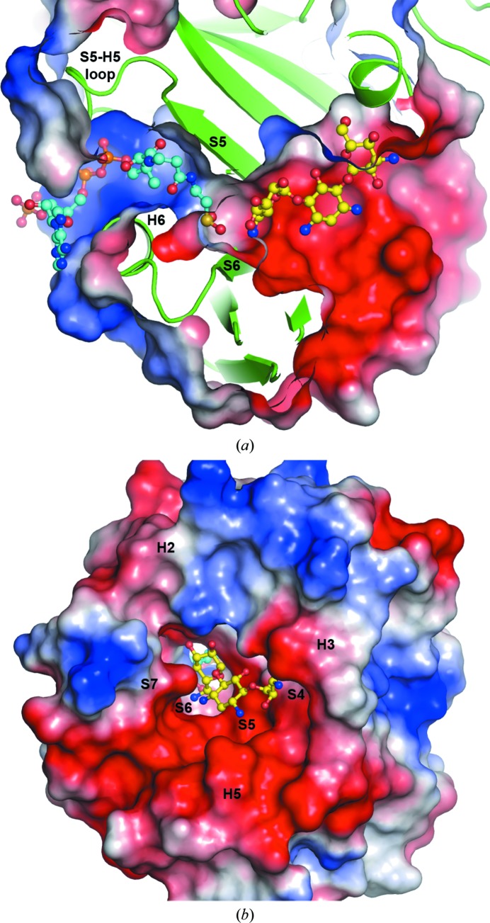 Figure 4