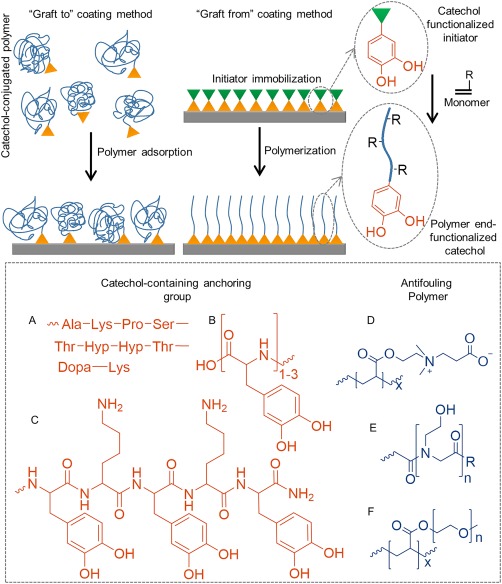 Figure 15