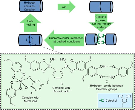 Figure 12