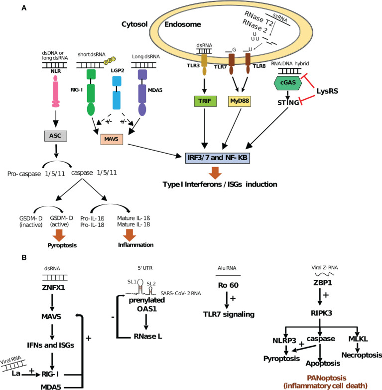 Figure 1