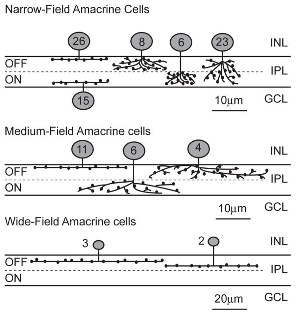 Fig 4