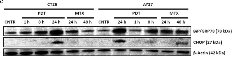 Supplementary Figure S2