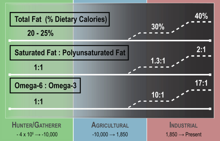 Fig.1