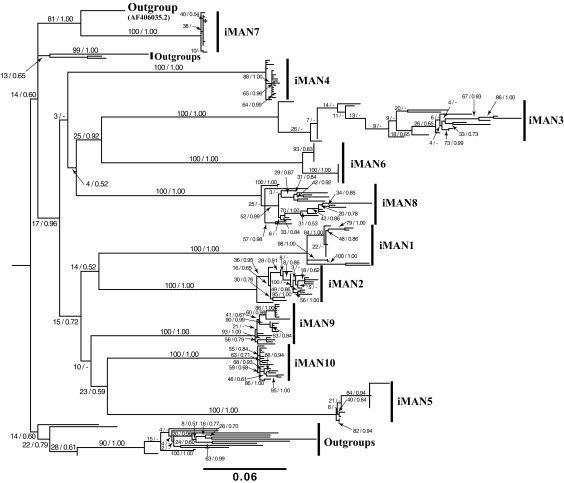 FIG. 2.