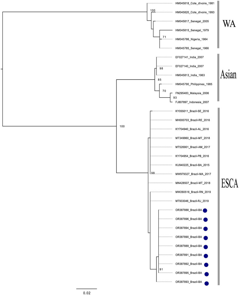 Figure 2