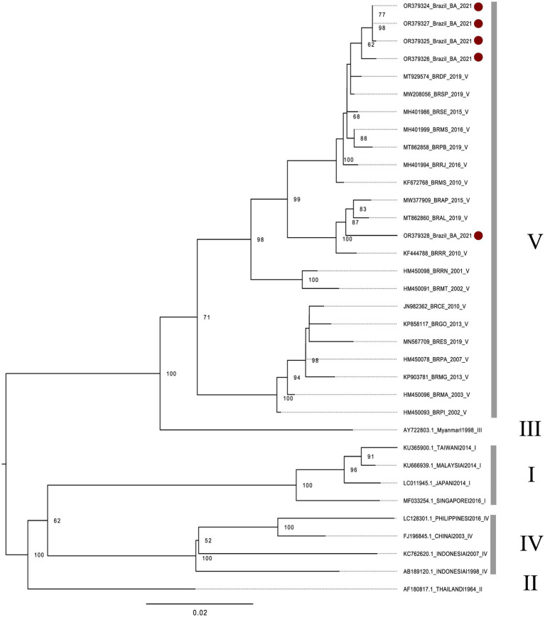 Figure 3