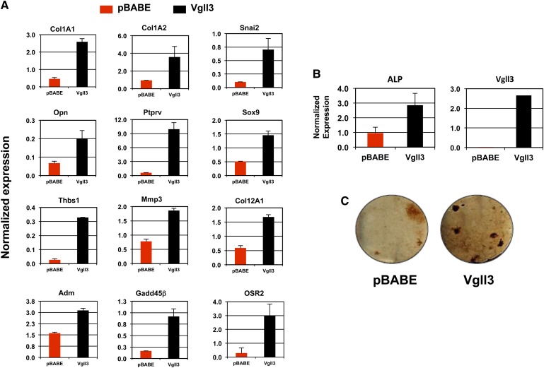 Fig. 7.