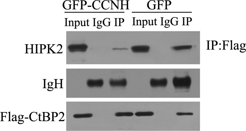 FIGURE 4.