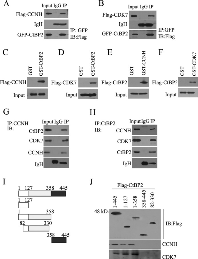 FIGURE 1.