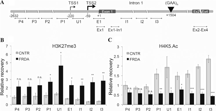 FIGURE 1.