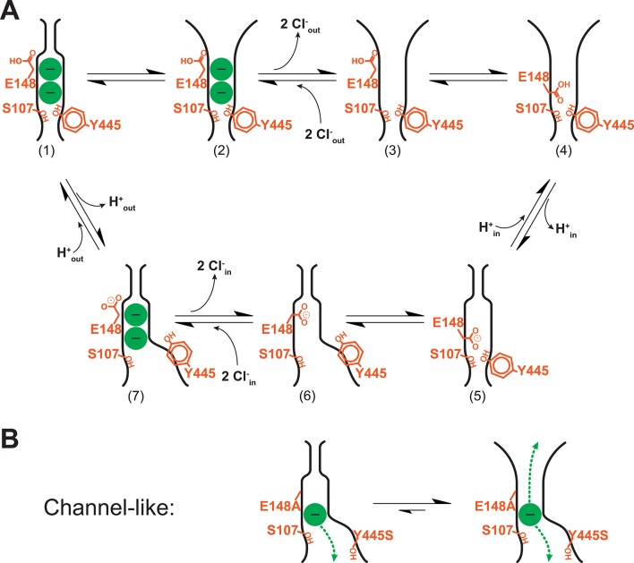 Figure 12.