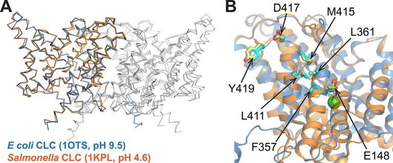 Figure 1—figure supplement 1.